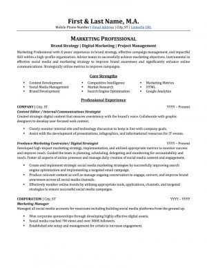 Resume Profile Examples  Advertising Marketing Resume Sample Professional Resume Examples