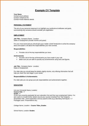 Resume Profile Examples  Cv Profile Examples Free Professional Resume Summary Statement