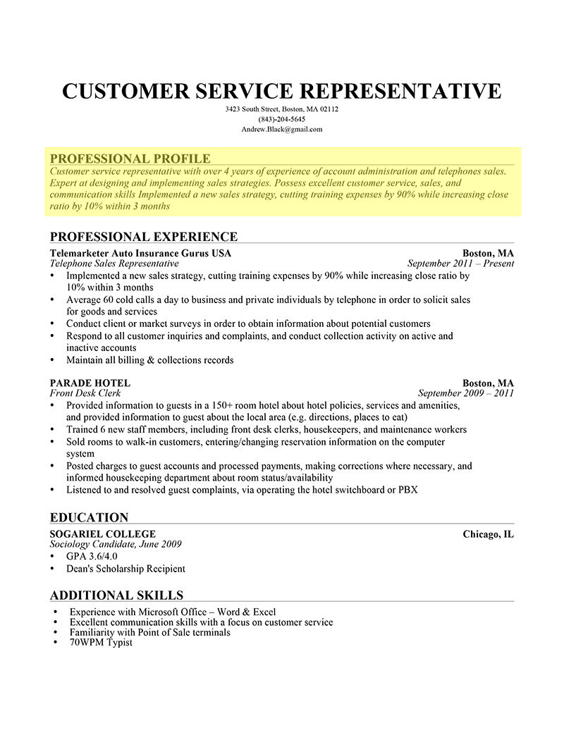 Resume Profile Examples  How To Write A Resume Profile Examples Writing Guide Rg