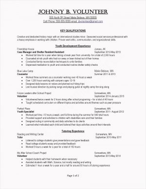 Resume Profile Examples  Resume Profile Examples For Students Resume Profile Examples Elegant