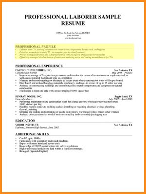 Resume Profile Examples  Resume Profile Examples Tjfs Journal