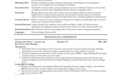 Resume Profile Examples Resume Profile Statement Example Examples For Career Change resume profile examples|wikiresume.com