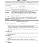 Resume Profile Statement Examples Resume Profile Statement Example Examples For Career Change resume profile statement examples|wikiresume.com