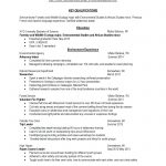 Resume Profile Statement Examples Student Resume Profile Statement Best Of New Examples Job Objective Account Management resume profile statement examples|wikiresume.com