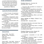Resume Skills Examples Executive Resume Format 2019 resume skills examples|wikiresume.com