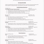 Resume Skills Examples  Hairstyles Sample Resume Templates Winsome Music Resume Template