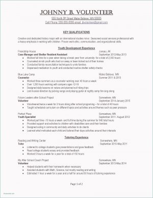 Resume Skills Examples  Hairstyles Sample Resume Templates Winsome Music Resume Template