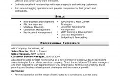 Resume Skills Examples Sales Director resume skills examples|wikiresume.com