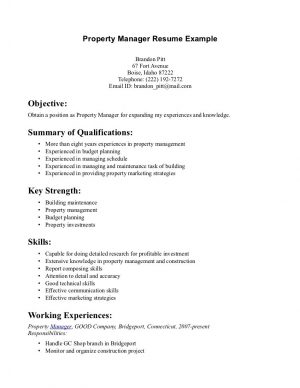 Resume Skills Examples  Skills Examples Resume 1 0 Tjfs Journal
