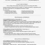 Resume Summary Example 2063558v1 5bd20fa846e0fb005190434a resume summary example|wikiresume.com
