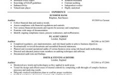 Resume Summary Example Auditor Finance Executive 1 resume summary example|wikiresume.com