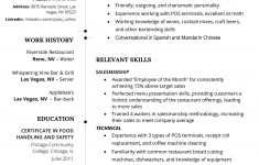 Resume Summary Example Functional Resume Sample resume summary example|wikiresume.com