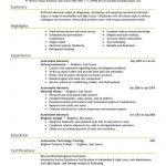 Resume Summary Example Mechanic Automotive Emphasis 2 resume summary example|wikiresume.com
