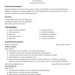 Resume Summary Example Resume Professional Summary Examples Generator resume summary example|wikiresume.com