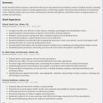 Resume Summary Example Resume Summary Examples Entry Level Warehouse Collection Sales Sample Qualifications Baby Tips Membuat Format For Job Senior Structural Engineer Create Free And Save How Do You resume summary example|wikiresume.com