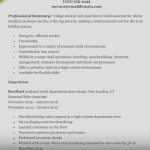 Resume Summary Example Retail Resume Marty resume summary example|wikiresume.com