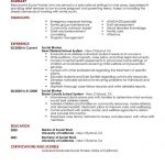 Resume Summary Example Social Worker Social Services Contemporary 5 resume summary example|wikiresume.com