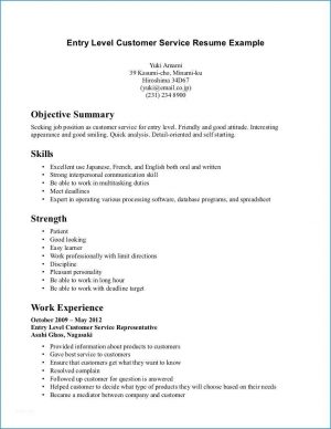 Resume Summary Examples Entry Level Resume Summary Marvelous Resume Objective Summary