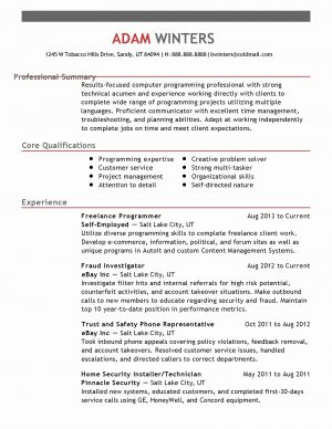 Resume Summary Examples Good Resume For Customer Service List Of Resume Summary Examples For