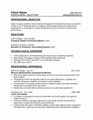 Resume Summary Examples New Resume Templates For Openoffice Best Resume Summary Examples