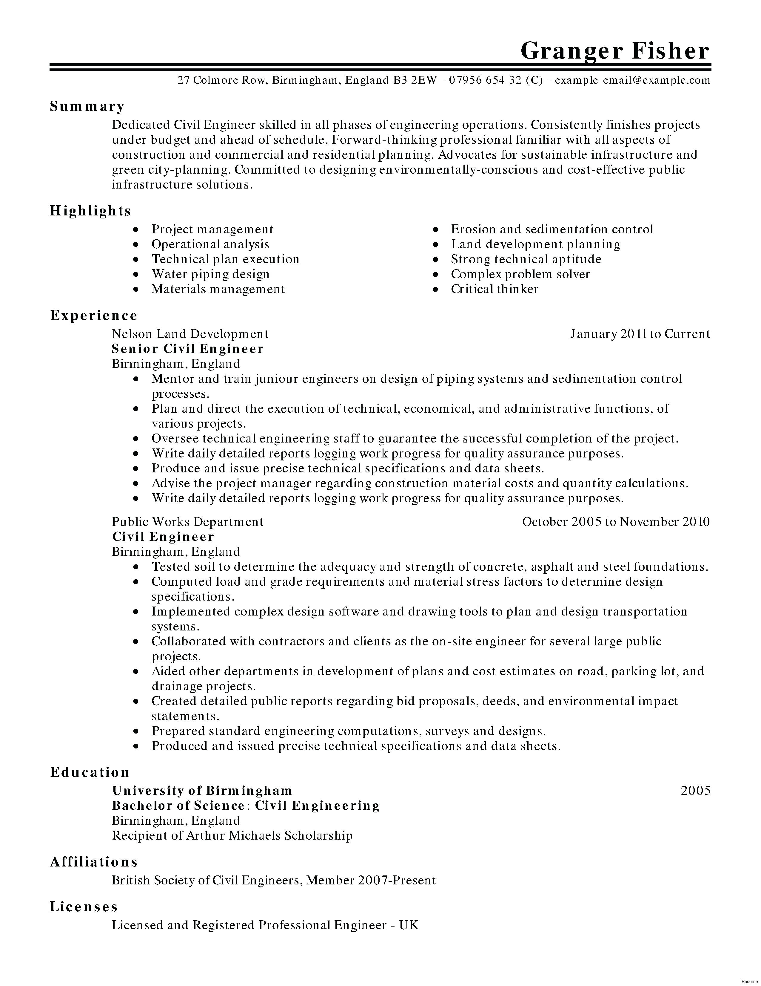 Resume Summary Examples Project Management Resume Summary Examples Executive Example Sample