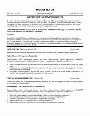 Resume Summary Examples Sample Resume Business Marketing Valid Resume Summary Examples