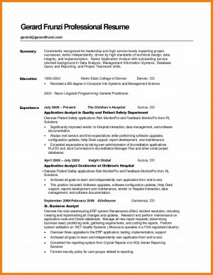 Resume Summary Statement 6 Resume Summary Statement Examples Activo Holidays