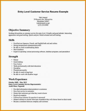 Resume Summary Statement Entry Level Resume Templates Free Of Entry Level Resume Summary