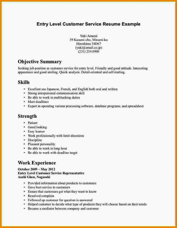 A Guidance to Write a Good Resume - Resume Summary Statement Entry Level Resume Templates Free Of Entry Level Resume Summary 728x938 