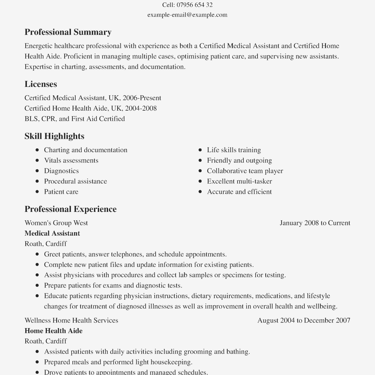 Resume Summary Statement Sample Summary Statement For Resume Resume