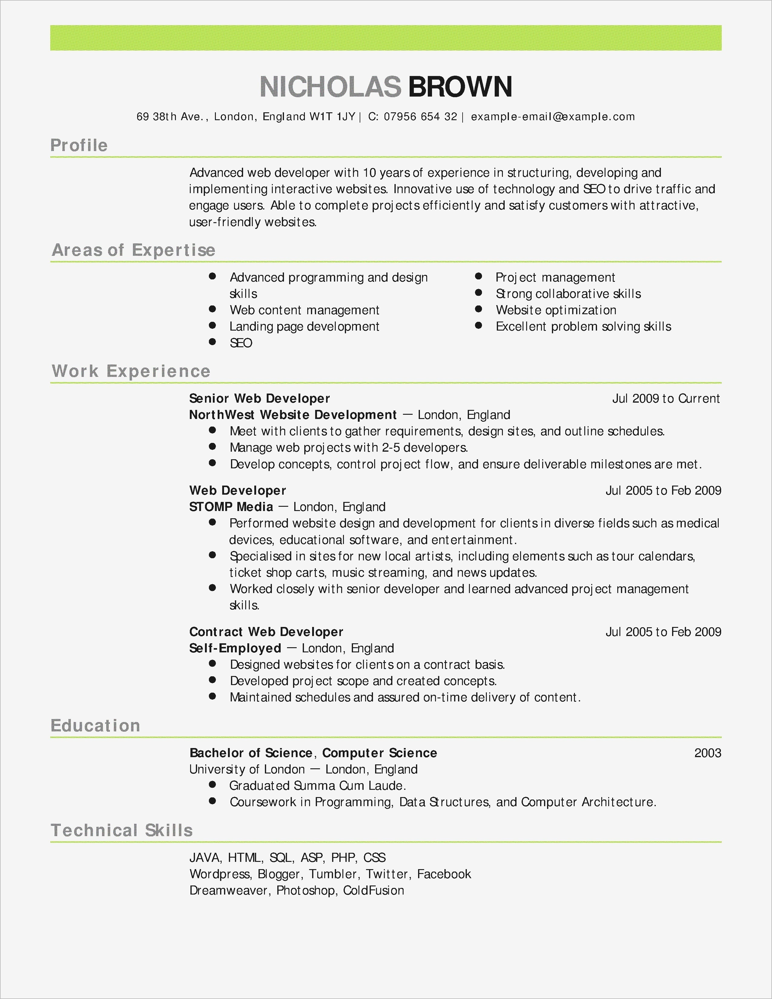 Resume Template For Word 009 Professional Resume Template Free Download Ideas Templates Word