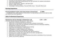 Resume Templates For Word Resume Examples Microsoft Word Nurse Resume Template Free Download Resume Templates Word Of Resume Examples Microsoft Word resume templates for word|wikiresume.com
