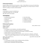 Resume Templates Word Healthcare Resume Example Classic 1 resume templates word|wikiresume.com