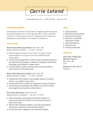 Resume Tips Objective 30 Resume Examples View Industry Job Title