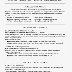 Resume Tips Skills Professional Writer Resume Example And Writing Tips