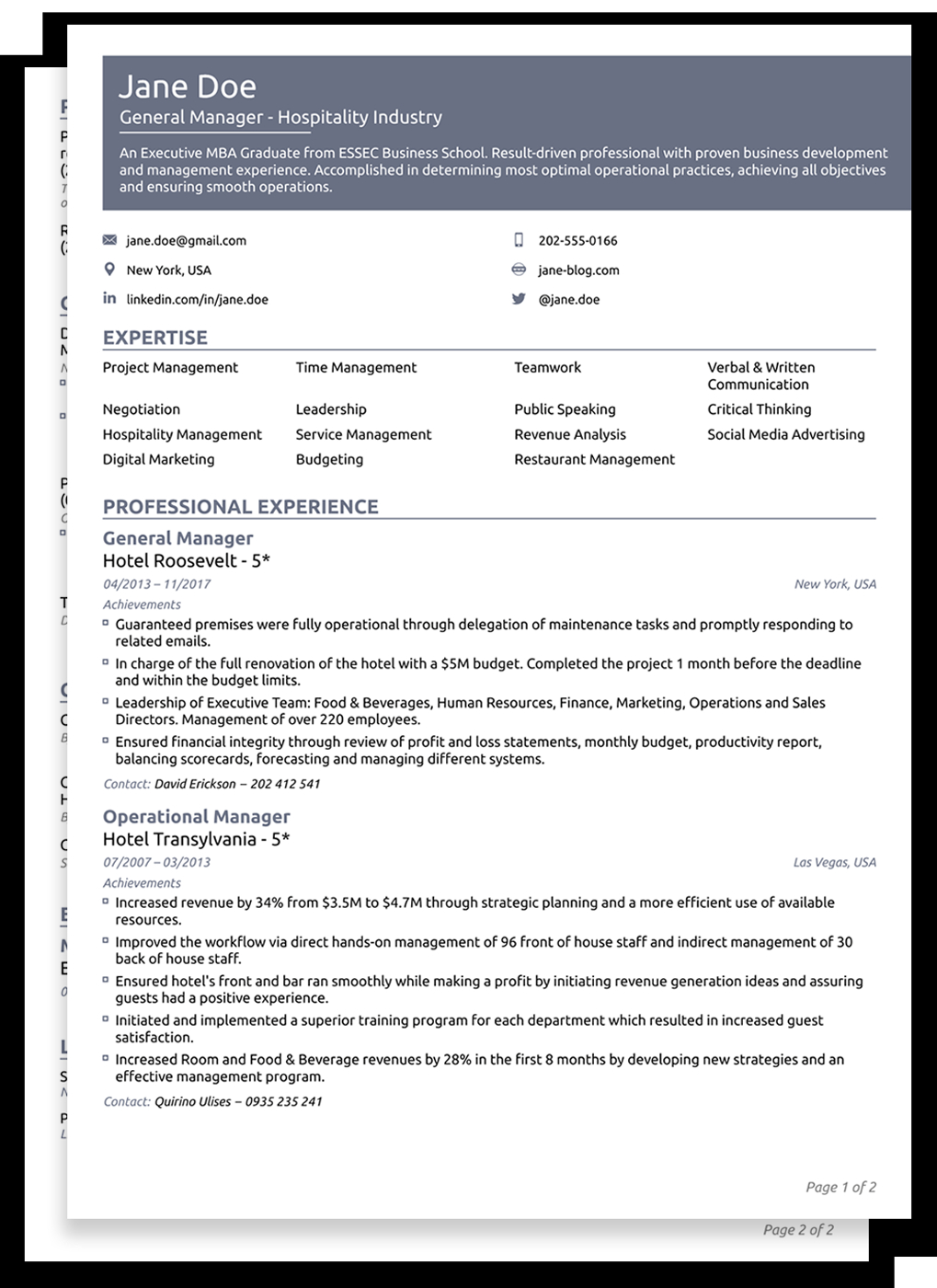 Resume Tips Templates Professional Cv Templates For 2019 Edit Download