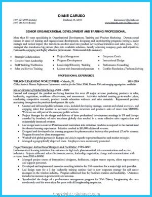 Resume Words Skills  Modern Business Development Skills Resume Awesome Best Words For The