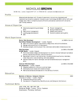Resumes Examples Customer Service Cashier Customer Service Resume Examples Unique Simple Resume For