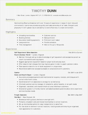 Resumes Examples Customer Service How To Write Resume For Customer Service Job Beautiful Cv Sample