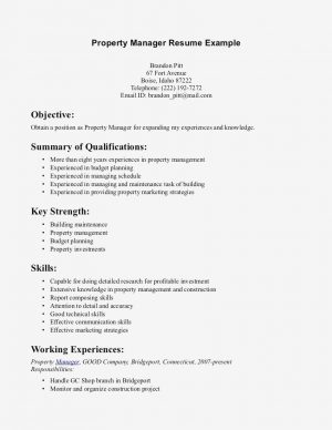 Resumes Examples Customer Service Skills Resume Examples Communication On Sample 1 Current Plus Skill
