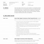 Sales Associate Resume Sales Support Associate Resume Example 10 sales associate resume|wikiresume.com