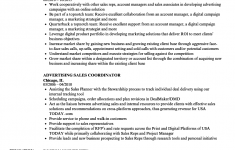 Sales Resume Examples Advertising Sales Resume Sample sales resume examples|wikiresume.com