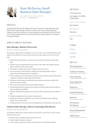 Sales Resume Examples Guide Small Business Sales Manager Resume X12 Sample Pdf 2019