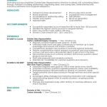 Sales Resume Examples Outside Sales Representative Maintenance Janitorial Contemporary 4 sales resume examples|wikiresume.com