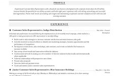 Sales Resume Examples Resume Customer Sales Representative 3 sales resume examples|wikiresume.com