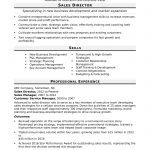 Sales Resume Examples Sales Director sales resume examples|wikiresume.com