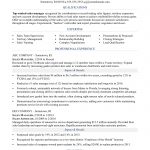 Sales Resume Examples Sales Manager sales resume examples|wikiresume.com