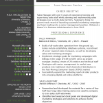 Sales Resume Examples Sales Manager Resume Example Template sales resume examples|wikiresume.com