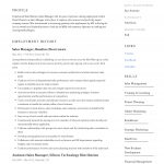 Sales Resume Examples Small Business Sales Manager Resume Example 5 sales resume examples|wikiresume.com