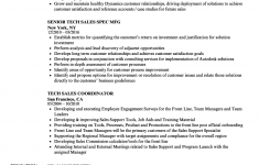 Sales Resume Examples Tech Sales Resume Sample sales resume examples|wikiresume.com